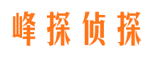 北辰峰探私家侦探公司